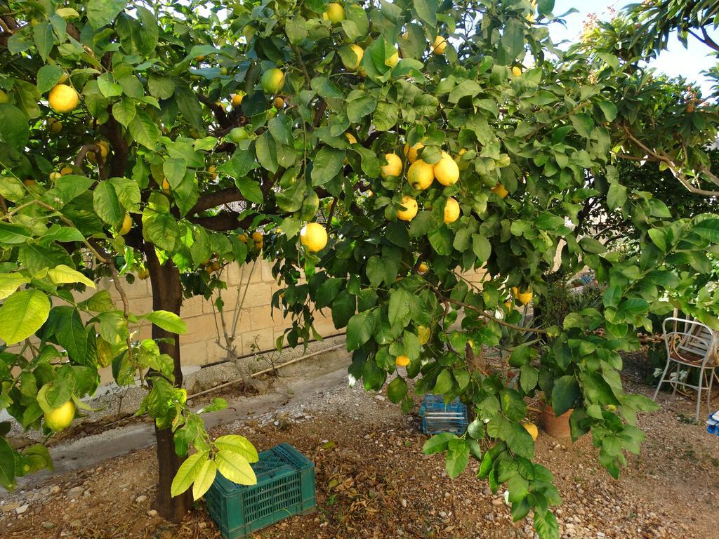 Ferienwohnung Il Giardino Del Corso Avola Exterior foto